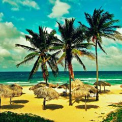 Cuba Linda – Havana