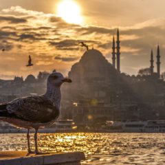 Vremeplov zvani Istanbul