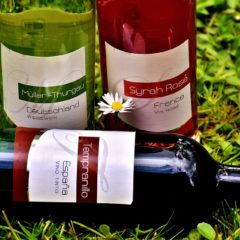 Vino kao suvenir sa putovanja