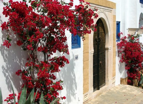 Sve više evropskih aviokompanija se vraća u Tunis