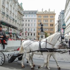 Austrija će nastaviti pojačanu kontrolu granica