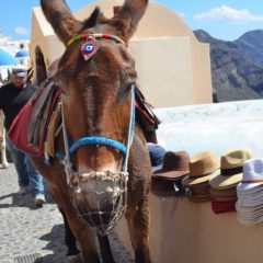 Nemojte jahati magarce na Santoriniju