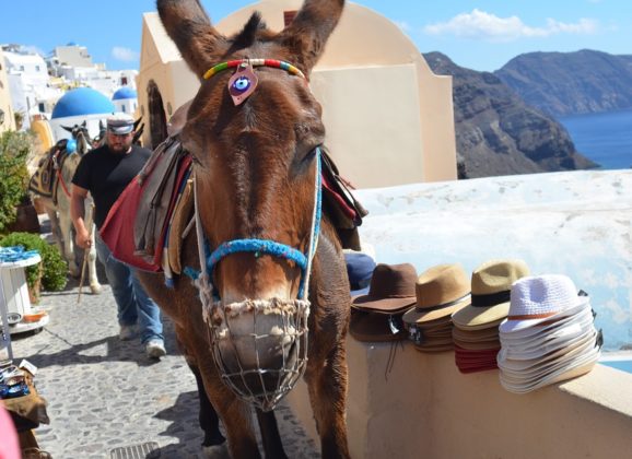 Nemojte jahati magarce na Santoriniju