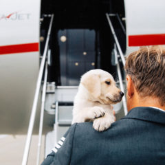Privatni avion – samo najbolje za voljene ljubimce