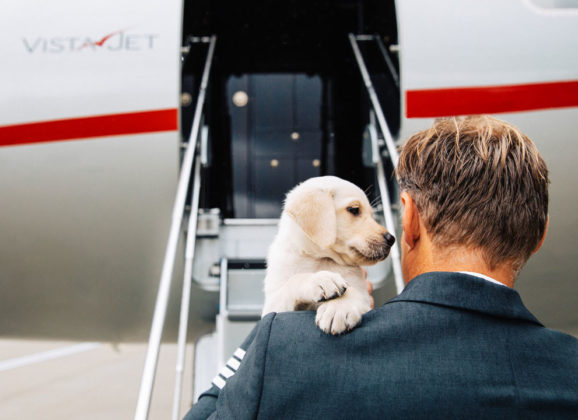 Privatni avion – samo najbolje za voljene ljubimce