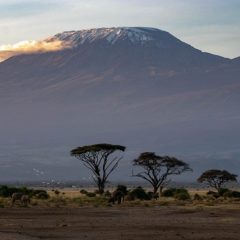 Žičarom na Kilimandžaro, najviši vrh Afrike