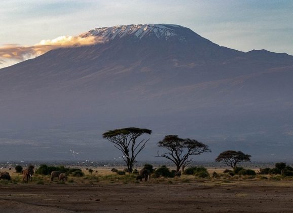 Žičarom na Kilimandžaro, najviši vrh Afrike