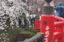 Festival cvetanja trešnje, Hirosaki, Honšu, Japan