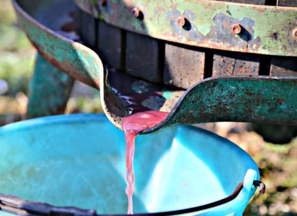 Italijanska fontana iz koje teče vino