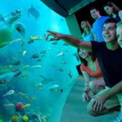 Tematski park SeaWorld na Floridi