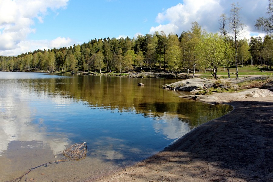 Ako morate da budete u Oslu, a želite da pobegnete od gradske vreve, dobar izbor je odlazak do šume Nordmarka, ogromnog javnog prostora sa netaknutom prirodom koji okružuje grad