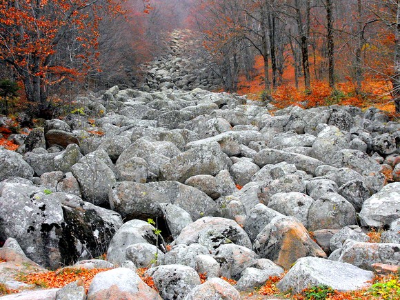 Ljubitelji prirode treba da posete Zlatnite mostove, geološki fenomen "kamene reke" koja se proteže između 1.700 i 1.350m nadmorske visine