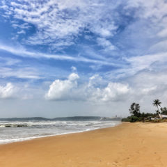 Poseta Indiji – GOA GIMT 2019
