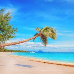 Karibi – najbolje od najboljeg u tropskom raju