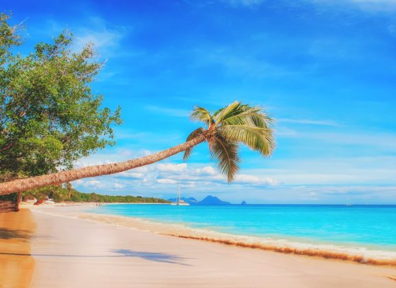 Karibi – najbolje od najboljeg u tropskom raju