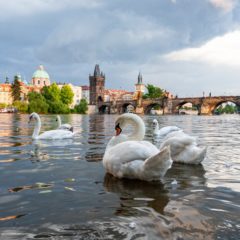 Prag kreće u borbu protiv Airbnb-a