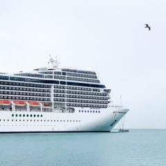 Diamond princess – tragovi korona virusa pronađeni 17 dana nakon evakuacije putnika