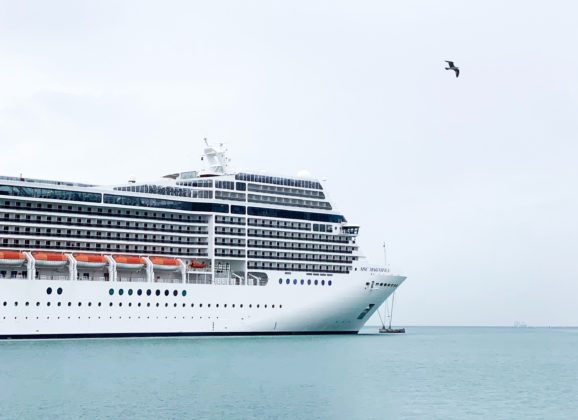 Diamond princess – tragovi korona virusa pronađeni 17 dana nakon evakuacije putnika