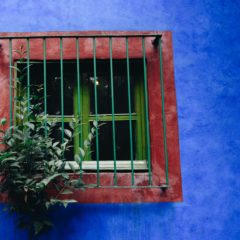 La Casa Azul – posetite kuću u kojoj je živela Frida Kalo