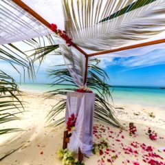 Zanzibar – ostrvo začina i belih peščanih plaža
