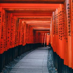 Japan vam plaća da ga posetite?