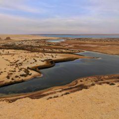 Fayoum Oaza – najbolje čuvana tajna Egipta