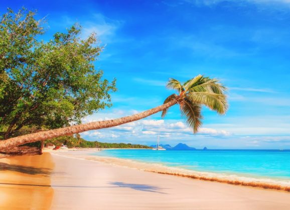 Jamajka – odmor u ritmu reggae muzike