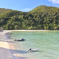 Nacionalni park Abel Tasman u 4k Ultra HD – najlepša oaza Novog Zelanda