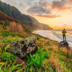 Havaji – da li znate ove zanimljivosti o „Aloha državi“?