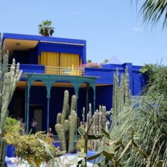 Jardin Majorelle u 4k Ultra HD – najlepša bašta Marakeša