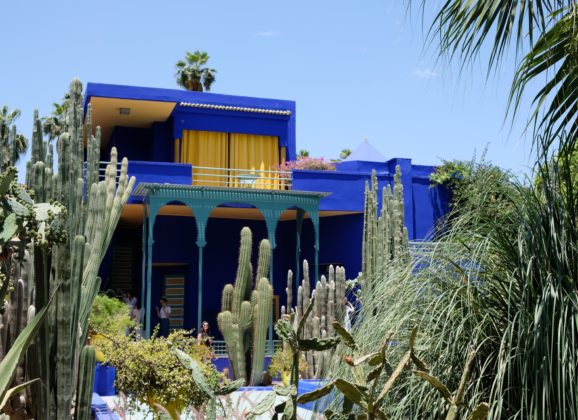 Jardin Majorelle u 4k Ultra HD – najlepša bašta Marakeša