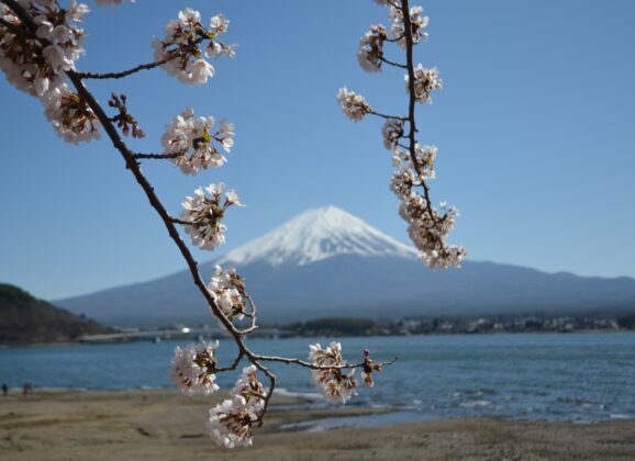 Fuđi – čudesna sveta planina Japana
