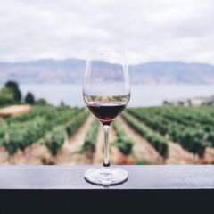 Najbolja evropska ostrva za ljubitelje vina