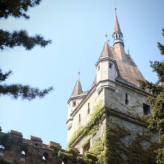 Vajdahunyad Castle – priča iza najlepšeg zamka Budimpešte