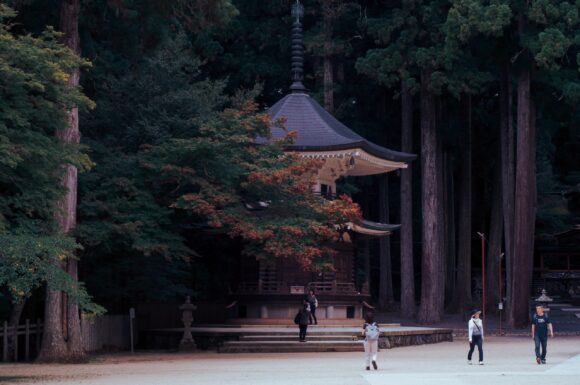 Koya san ulazak