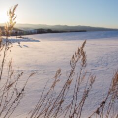 Lepote japanskog ostrva: Istražite Hokaido