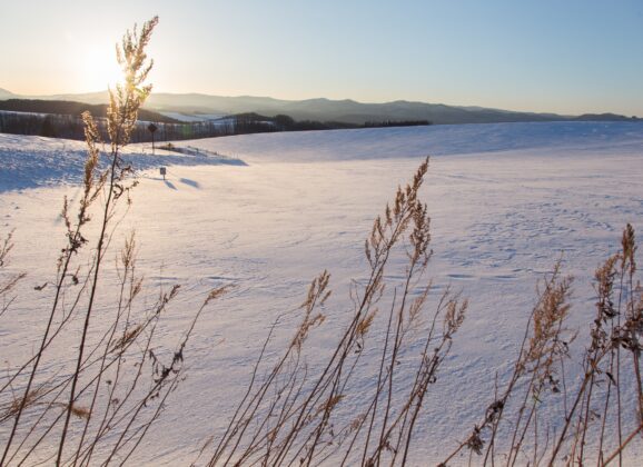 Lepote japanskog ostrva: Istražite Hokaido