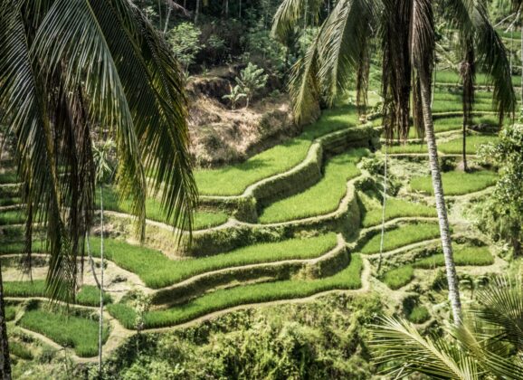 Seoski turizam u Indoneziji