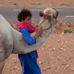 Upoznajte Maroko, postojbinu Berbera