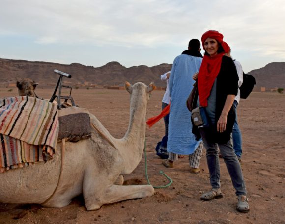 Kamile su posebna atrakcija i deo zivota Berbera