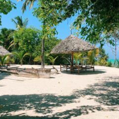 Qatar Airways – Bez PCR testa za povratni let sa Zanzibara