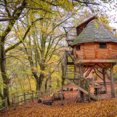 Za luksuzni i divlji beg od gužve: 5 najboljih tree-house hotela Evrope
