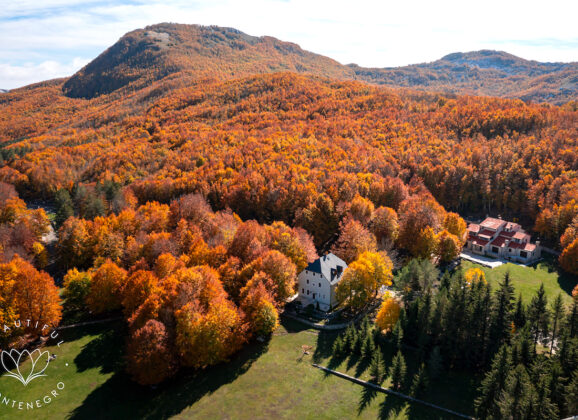Nacionalni Park Lovćen