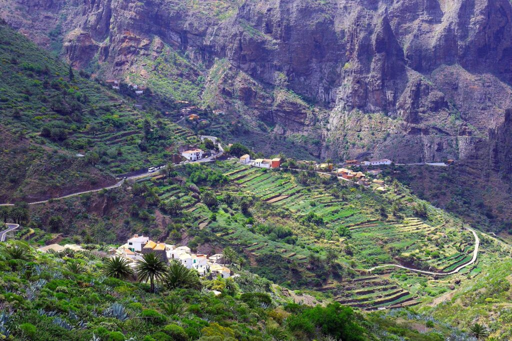 Maska seoce Tenerifa
