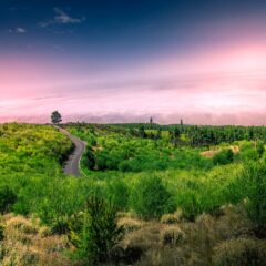 Magija Tenerifa – oaza u Atlantiku, II deo