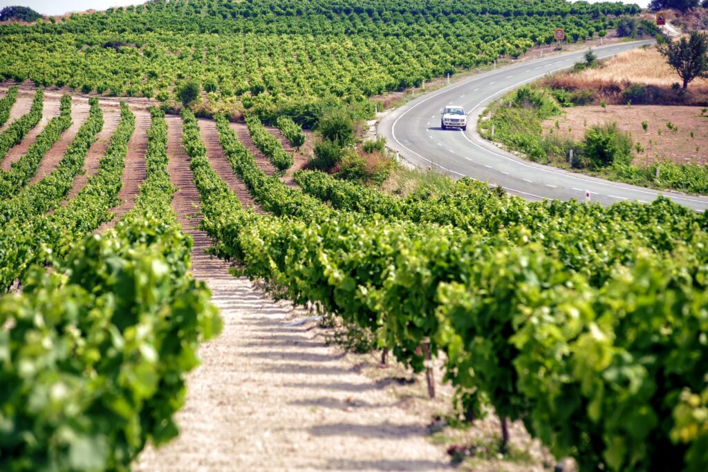 Vino i hrana