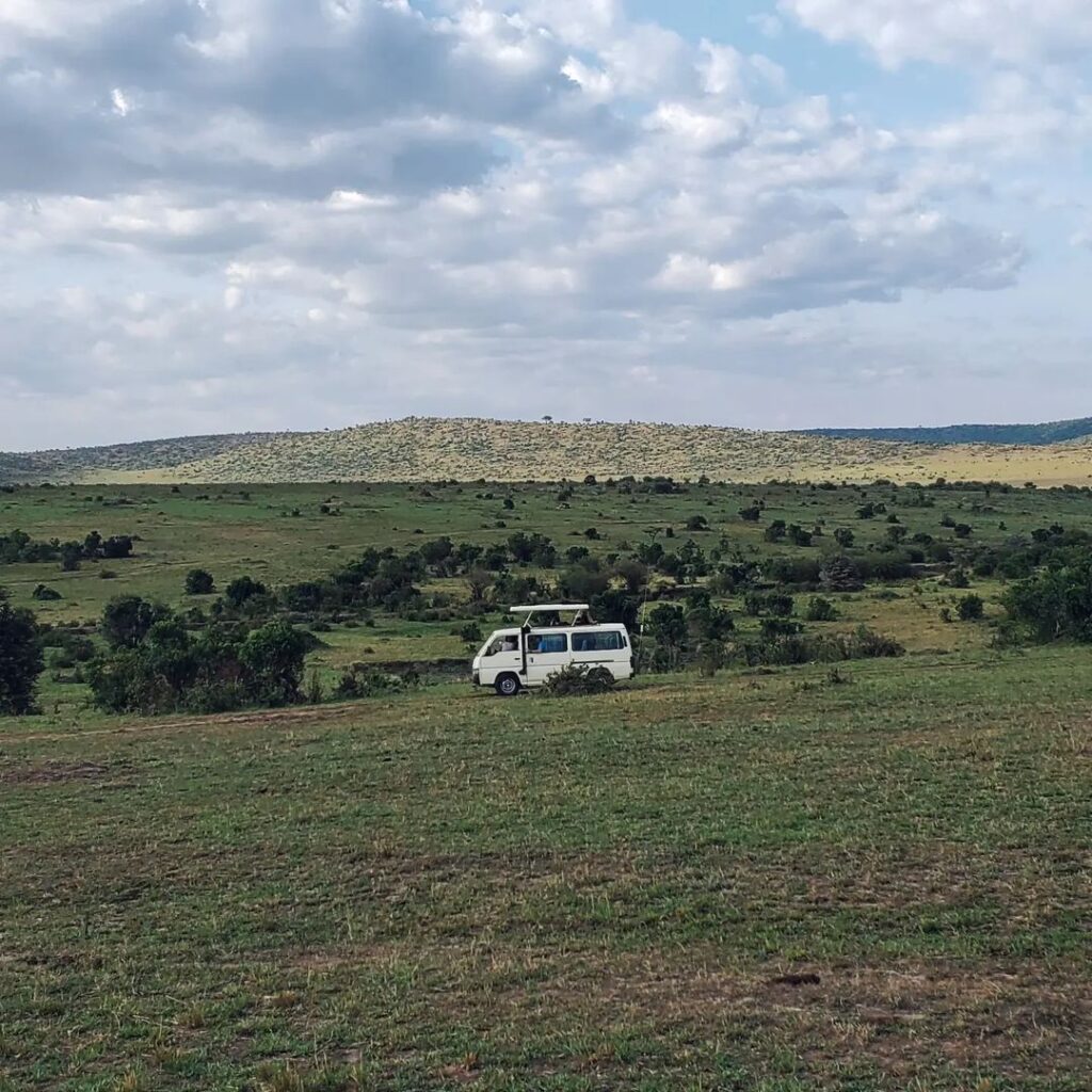 Safari - Savana